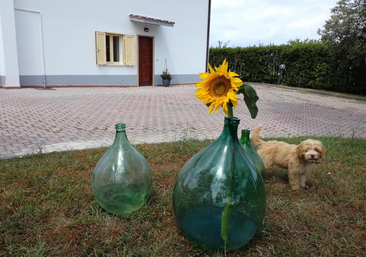 Casa Amrita, Yoga B&B Teramo Kültér fotó