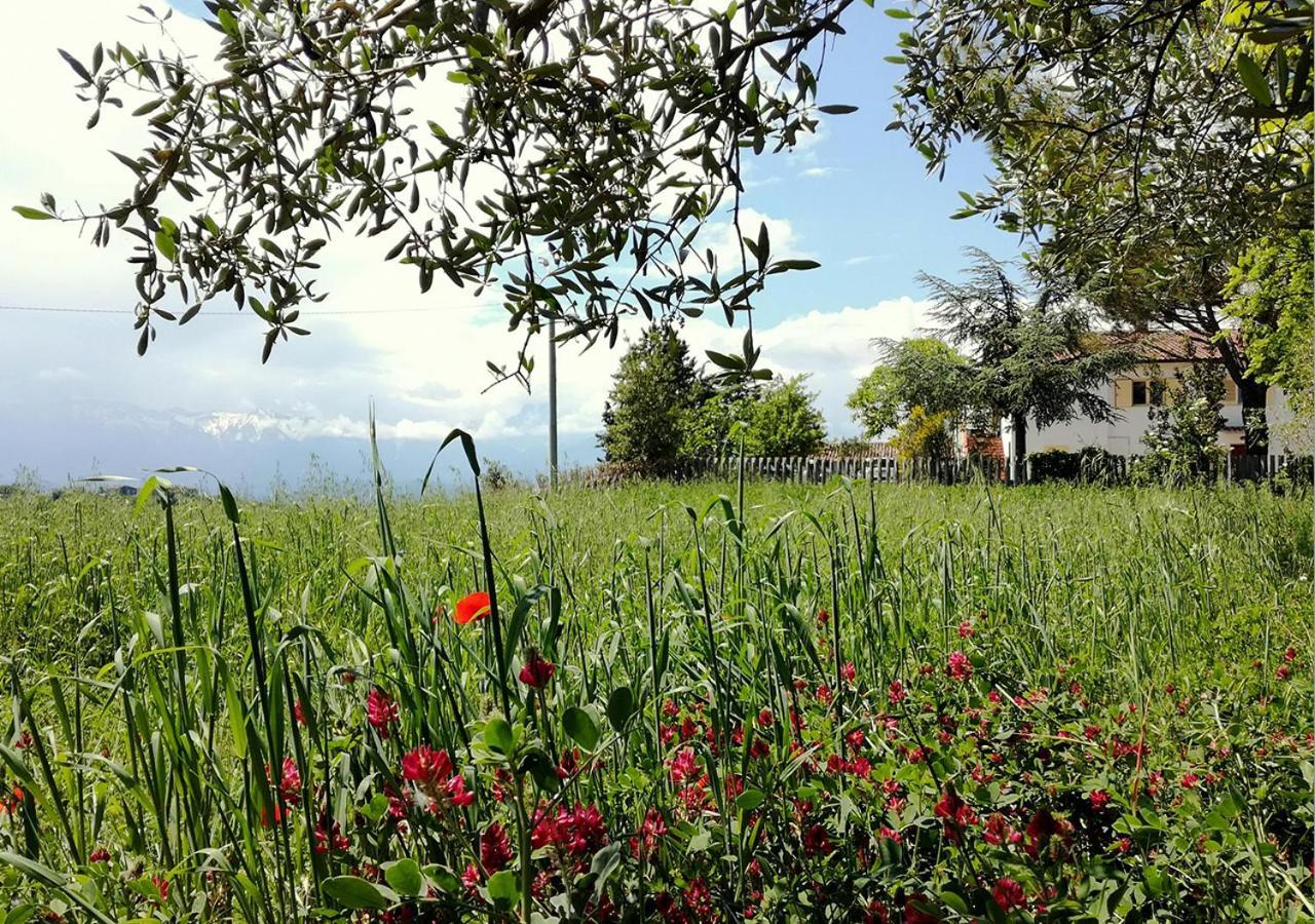 Casa Amrita, Yoga B&B Teramo Kültér fotó